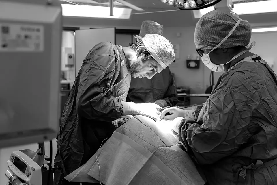Mr Shad Khan Endocrine Surgery for NHS patients