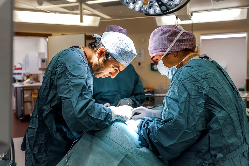 Mr Shad Khan Endocrine Surgery for private patients